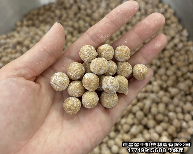 流水線炒貨機
